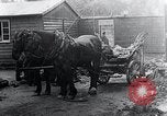 Image Camp de concentration victimes Mauthausen Autriche, 1945, de la seconde 46 séquences d'archives historiques vidéo 65675029087