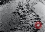 Immagine di Mauthausen camp vittime Mauthausen Austria, 1945, secondo 13 filmato di repertorio 65675029088