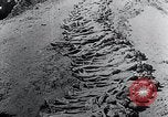 Immagine di Mauthausen camp vittime Mauthausen Austria, 1945, secondo 14 filmato di repertorio 65675029088
