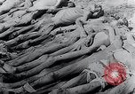 Immagine di Mauthausen camp vittime Mauthausen Austria, 1945, secondo 20 filmato di repertorio 65675029088