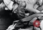 Immagine di Mauthausen camp vittime Mauthausen Austria, 1945, secondo 48 filmato di repertorio 65675029088