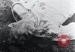 Immagine di Mauthausen camp vittime Mauthausen Austria, 1945, secondo 61 filmato di repertorio 65675029088