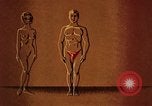 Immagine di La gonorrea United States USA, 1964, secondo 16 filmato di repertorio 65675029104