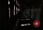 Immagine di La rivoluzione sessuale e VD United States USA, 1964, secondo 18 filmato di repertorio 65675029106