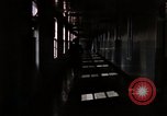 Immagine di La rivoluzione sessuale e VD United States USA, 1964, secondo 19 filmato di repertorio 65675029106