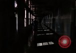 Immagine di La rivoluzione sessuale e VD United States USA, 1964, secondo 21 filmato di repertorio 65675029106