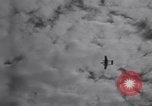 Standbild USA P-61s Bildung Colomiers Frankreich, 1944, aus Sekunde 51 historischem Filmmaterial Videoclip 65675029121