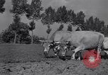 Image of French workers Colomiers France, 1944, second 49 stock footage video 65675029122