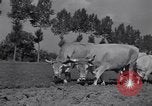 Image of French workers Colomiers France, 1944, second 50 stock footage video 65675029122