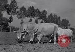 Image of French workers Colomiers France, 1944, second 51 stock footage video 65675029122