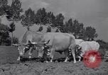 Image of French workers Colomiers France, 1944, second 52 stock footage video 65675029122