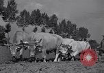 Image of French workers Colomiers France, 1944, second 53 stock footage video 65675029122