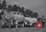 Image of French workers Colomiers France, 1944, second 54 stock footage video 65675029122