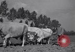 Image of French workers Colomiers France, 1944, second 56 stock footage video 65675029122