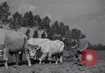 Image of French workers Colomiers France, 1944, second 57 stock footage video 65675029122
