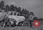 Image of French workers Colomiers France, 1944, second 58 stock footage video 65675029122