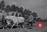 Image of French workers Colomiers France, 1944, second 59 stock footage video 65675029122