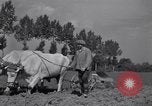 Image of French workers Colomiers France, 1944, second 60 stock footage video 65675029122