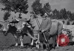 Image of French workers Colomiers France, 1944, second 62 stock footage video 65675029122