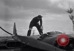 Standbild tanken P-61 Colomiers Frankreich, 1944, aus Sekunde 16 historischem Filmmaterial Videoclip 65675029126