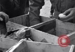 Immagine di Razione di uova e arance Colomiers Francia, 1944, secondo 23 filmato di repertorio 65675029129