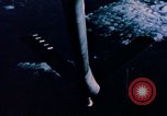 Image of refueling boom Seattle Washington USA, 1956, second 47 stock footage video 65675029135