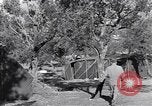 Standbild französischen Signal Center Prata Italien, 1944, aus Sekunde 31 historischem Filmmaterial Videoclip 65675029153