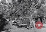 Standbild französischen Signal Center Prata Italien, 1944, aus Sekunde 34 historischem Filmmaterial Videoclip 65675029153
