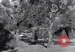 Standbild französischen Signal Center Prata Italien, 1944, aus Sekunde 38 historischem Filmmaterial Videoclip 65675029153