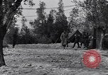 Immagine di General Theodore Roosevelt Prata Italia, 1944, secondo 43 filmato di repertorio 65675029155