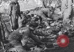 Immagine di Ispezione dell'equipaggiamento Prata Italia, 1944, secondo 3 filmato di repertorio 65675029156