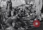 Immagine di Ispezione dell'equipaggiamento Prata Italia, 1944, secondo 5 filmato di repertorio 65675029156