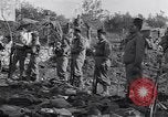 Immagine di Ispezione dell'equipaggiamento Prata Italia, 1944, secondo 22 filmato di repertorio 65675029156