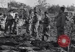 Immagine di Ispezione dell'equipaggiamento Prata Italia, 1944, secondo 23 filmato di repertorio 65675029156