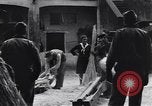 Immagine di Battendo la coltura della canapa Frattamaggiore Italia, 1944, secondo 26 filmato di repertorio 65675029158