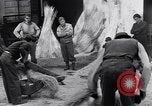 Immagine di Battendo la coltura della canapa Frattamaggiore Italia, 1944, secondo 51 filmato di repertorio 65675029158