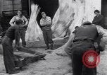 Immagine di Battendo la coltura della canapa Frattamaggiore Italia, 1944, secondo 53 filmato di repertorio 65675029158