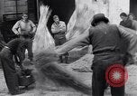Immagine di Battendo la coltura della canapa Frattamaggiore Italia, 1944, secondo 54 filmato di repertorio 65675029158