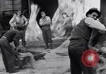 Immagine di Battendo la coltura della canapa Frattamaggiore Italia, 1944, secondo 56 filmato di repertorio 65675029158