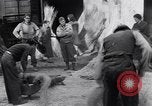 Immagine di Battendo la coltura della canapa Frattamaggiore Italia, 1944, secondo 58 filmato di repertorio 65675029158