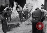 Immagine di Battendo la coltura della canapa Frattamaggiore Italia, 1944, secondo 60 filmato di repertorio 65675029158