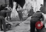 Immagine di Battendo la coltura della canapa Frattamaggiore Italia, 1944, secondo 61 filmato di repertorio 65675029158
