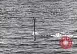 Standbild italienische U-Boot Italien, 1943, aus Sekunde 17 historischem Filmmaterial Videoclip 65675029170
