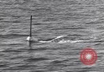 Standbild italienische U-Boot Italien, 1943, aus Sekunde 20 historischem Filmmaterial Videoclip 65675029170