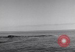 Image of Italian submarine Italy, 1943, second 36 stock footage video 65675029171