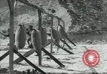 Image of trench tactics France, 1918, second 6 stock footage video 65675029209