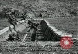 Image of trench tactics France, 1918, second 35 stock footage video 65675029209