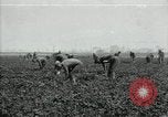 Image of American 302nd Engineers France, 1918, second 1 stock footage video 65675029213