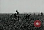 Image of American 302nd Engineers France, 1918, second 3 stock footage video 65675029213