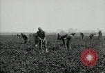 Image of American 302nd Engineers France, 1918, second 4 stock footage video 65675029213